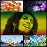 Fotos